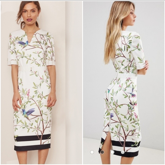 🍒NWOT🍒 TED BAKER EVERLY BODYCPN DRESS - Picture 4 of 8